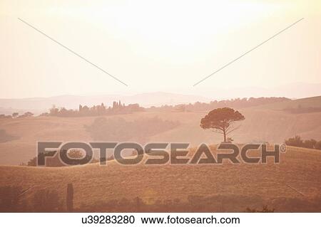 Rural landscape, Tuscany, Italy View Large Photo Image Stock Image - Rural landscape, Tuscany, Italy. Fotosearch