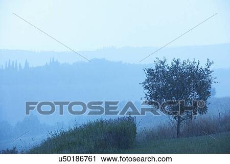 Rural landscape, Tuscany, Italy View Large Photo Image Stock Image - Rural landscape, Tuscany, Italy. Fotosearch