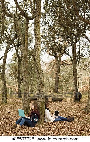 Sisters using laptop in forest View Large Photo Image Stock Photo - Sisters using laptop in forest. Fotosearch