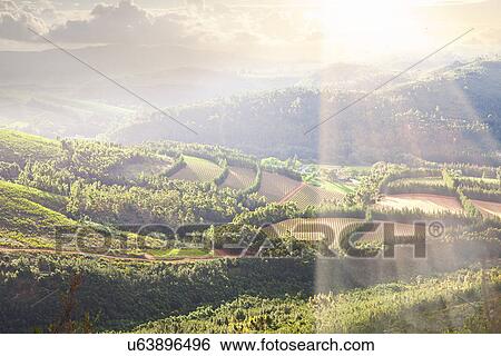 Terraced field in sunlight, Cape Town, South Africa View Large Photo Image Stock Photograph - Terraced field in sunlight, Cape Town, South Africa. Fotosearch