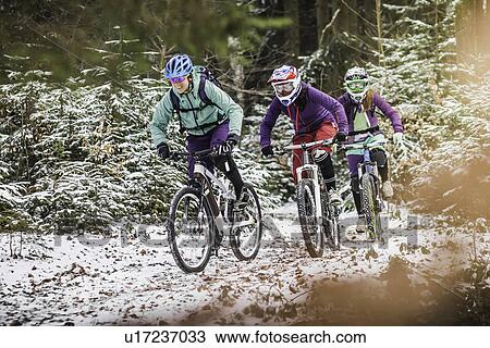 Three female mountain bikers riding through forest in snow View Large Photo Image Stock Image - Three female mountain bikers riding through forest in snow. Fotosearch