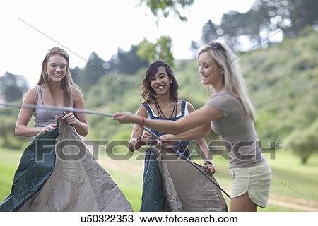 Stock Image - Three friends putting up tent whilst camping. Fotosearch