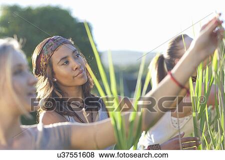 Three young female friends looking at grasses View Large Photo Image Stock Photo - Three young female friends looking at grasses. Fotosearch