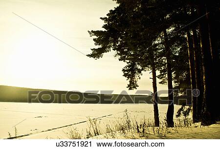 Trees by lake View Large Photo Image Stock Image - Trees by lake. Fotosearch