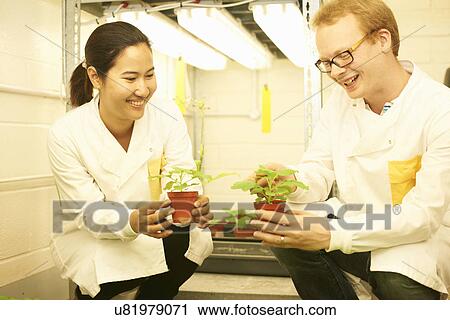 Two scientists comparing plant samples in lab View Large Photo Image Stock Image - Two scientists comparing plant samples in lab. Fotosearch