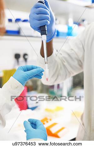 Two scientists holding test tube and pipette View Large Photo Image Stock Image - Two scientists holding test tube and pipette. Fotosearch