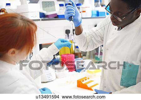 Two scientists pipetting sample into test tube in lab View Large Photo Image Picture - Two scientists pipetting sample into test tube in lab. Fotosearch