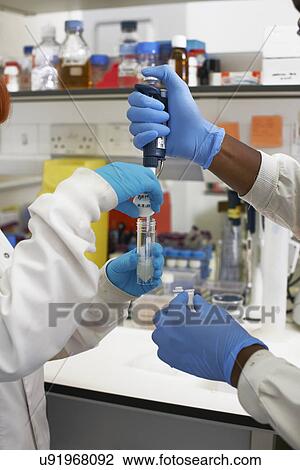 Two scientists working in lab View Large Photo Image Stock Image - Two scientists working in lab. Fotosearch