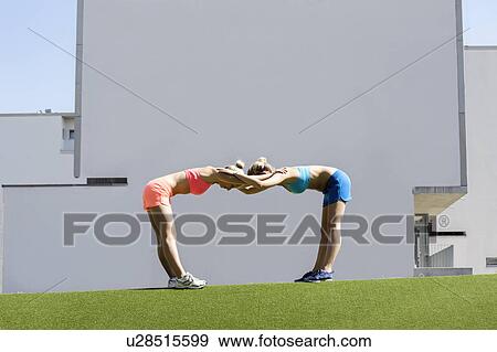 Two young female athletes exercising together in park View Large Photo Image Stock Photo - Two young female athletes exercising together in park. Fotosearch