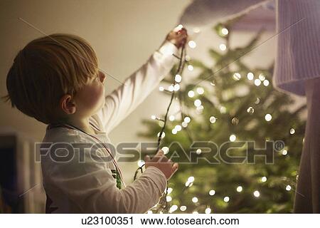 Young boy putting up christmas tree lights View Large Photo Image Stock Image - Young boy putting up christmas tree lights. Fotosearch