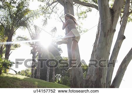 Young woman having fun on rope swing View Large Photo Image Stock Image - Young woman having fun on rope swing. Fotosearch