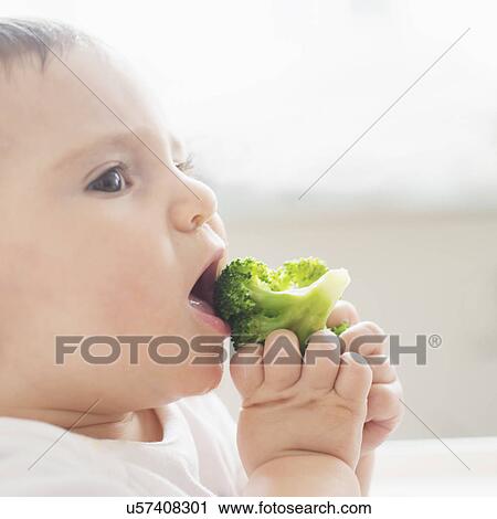 Baby girl (12-17 months) eating broccoli View Large Photo Image Stock Image - Baby girl (12-17 months) eating broccoli. Fotosearch