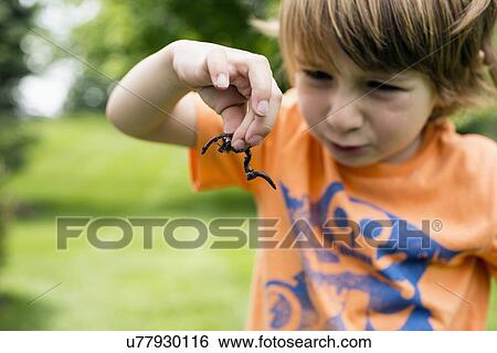 Stock Photograph - Boy (4-5) looking at worm in summer landscape. Fotosearch