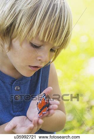 Boy (4-5) watching butterfly View Large Photo Image Stock Image - Boy (4-5) watching butterfly. Fotosearch