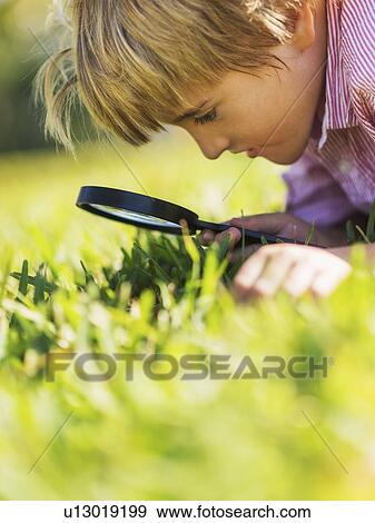 Stock Photo - Boy (8-9) searching for bugs. Fotosearch
