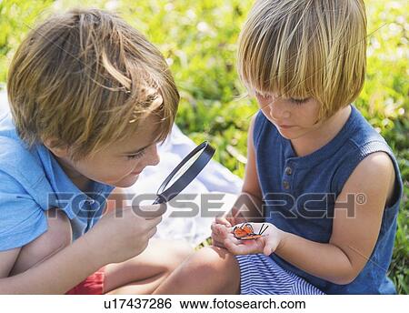 Boys (4-5, 8-9) watching butterfly View Large Photo Image Stock Photograph - Boys (4-5, 8-9) watching butterfly. Fotosearch