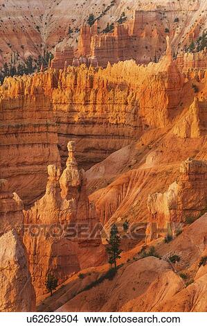 Picture - Bryce Canyon National Park. Fotosearch