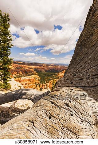 Bryce Canyon National Park View Large Photo Image Stock Image - Bryce Canyon National Park. Fotosearch