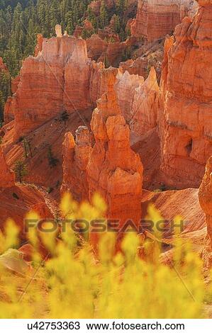 Stock Image - Bryce Canyon National Park. Fotosearch