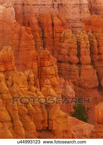 Stock Image - Bryce Canyon National Park. Fotosearch