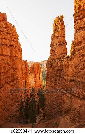 Stock Image - Bryce Canyon National Park. Fotosearch
