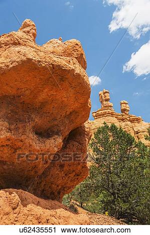 Bryce Canyon National Park View Large Photo Image Stock Image - Bryce Canyon National Park. Fotosearch