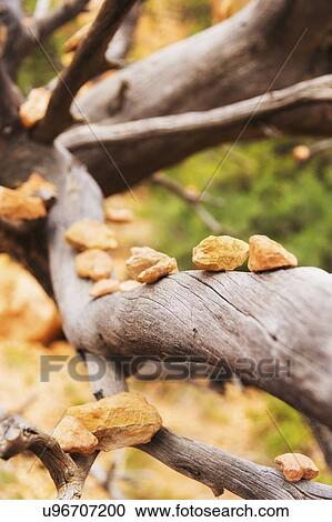 Stock Image - Bryce Canyon National Park. Fotosearch