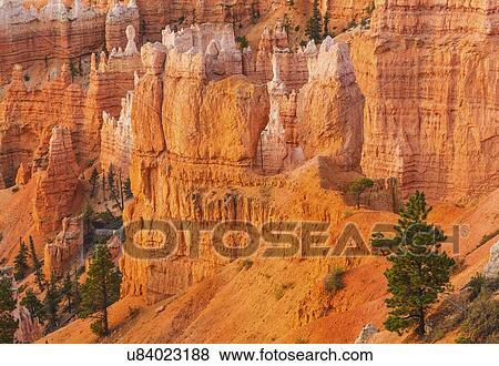 Stock Photo - Bryce Canyon National Park. Fotosearch