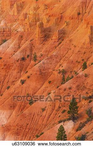 Stock Photograph - Bryce Canyon National Park. Fotosearch