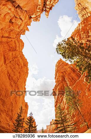 Stock Photograph - Bryce Canyon National Park. Fotosearch