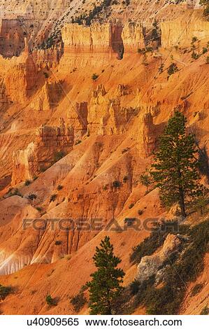 Stock Photography - Bryce Canyon National Park. Fotosearch