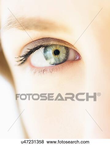 Close up of females eye View Large Photo Image Stock Photo - Close up of females eye. Fotosearch