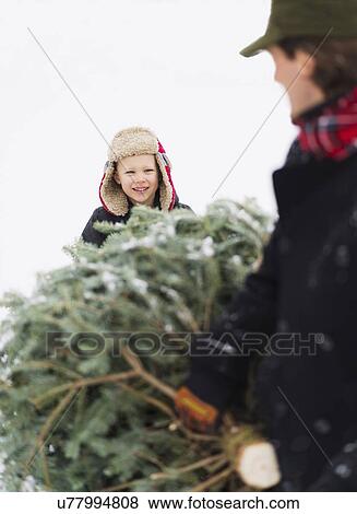 Father and son (6-7) carrying Christmas tree View Large Photo Image Stock Photo - Father and son (6-7) carrying Christmas tree. Fotosearch
