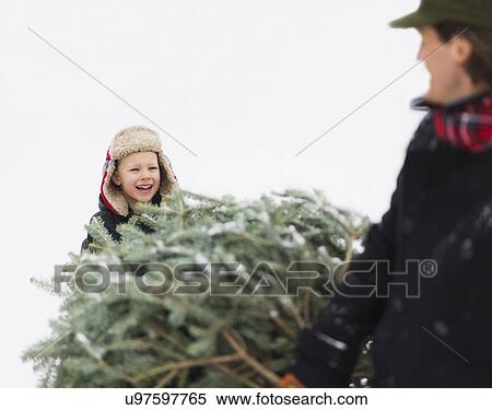 Stock Photography - Father and son (6-7) carrying Christmas tree. Fotosearch