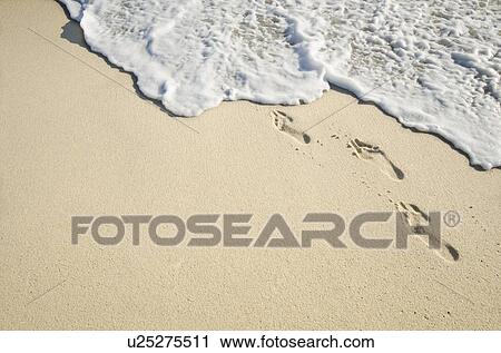 Footprints on sand View Large Photo Image Stock Image - Footprints on sand. Fotosearch