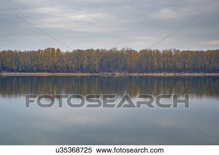 Forest reflecting in tranquil water View Large Photo Image Stock Photography - Forest reflecting in tranquil water. Fotosearch