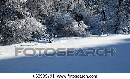 Frozen lake in Central Park View Large Photo Image Stock Image - Frozen lake in Central Park. Fotosearch