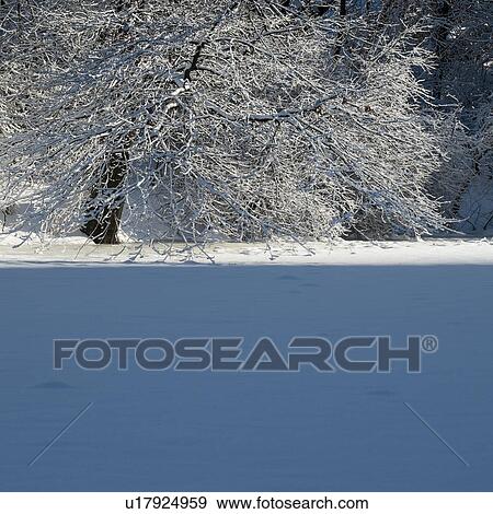 Stock Photo - Frozen lake in Central Park. Fotosearch
