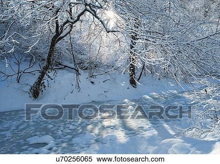 Frozen lake in Central Park View Large Photo Image Stock Photography - Frozen lake in Central Park. Fotosearch