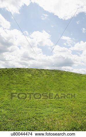 Horizon over green grass View Large Photo Image Picture - Horizon over green grass. Fotosearch