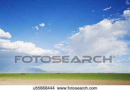 Irrigation system View Large Photo Image Picture - Irrigation system. Fotosearch