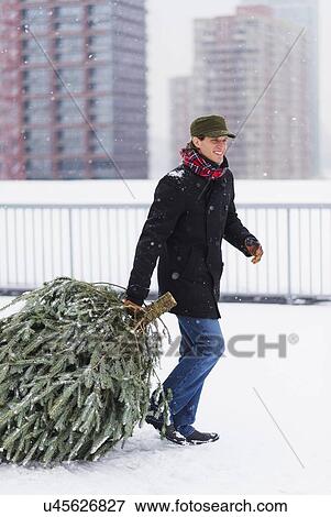 Man carrying Christmas tree View Large Photo Image Stock Photo - Man carrying Christmas tree. Fotosearch