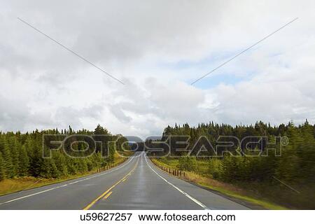 Stock Photo - Road leading through forest. Fotosearch