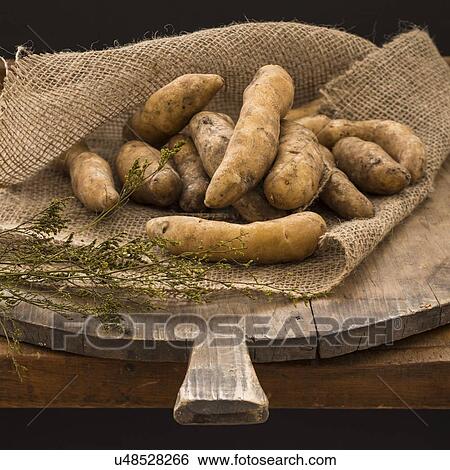 Studio shot fingerling potatoes on cutting board View Large Photo Image Stock Photograph - Studio shot fingerling potatoes on cutting board. Fotosearch