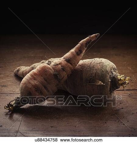 Stock Photo - Studio shot of carrots. Fotosearch