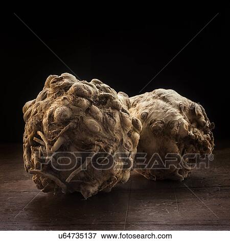 Studio shot of celeriac View Large Photo Image Stock Photo - Studio shot of celeriac. Fotosearch