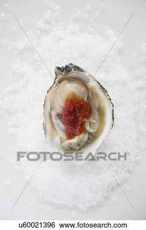 Stock Photograph - Studio shot of oyster. Fotosearch
