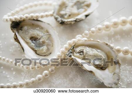 Stock Image - Studio shot of oysters and jewelry. Fotosearch