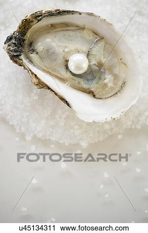 Stock Image - Studio shot of oysters and pearl. Fotosearch