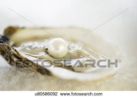Stock Image - Studio shot of oysters and pearl. Fotosearch